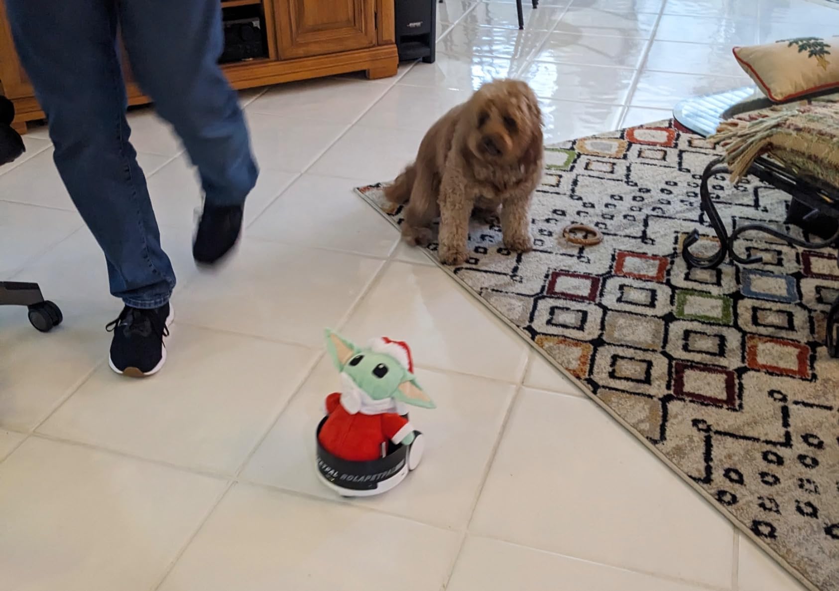 Enabot ROLA PetPal Movable Camera plays with pets