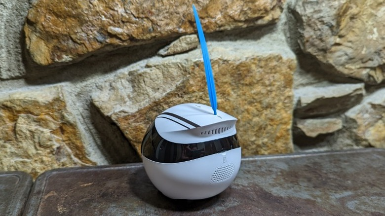 Enabot EBO Air Review: Clever Robot Cat Companion