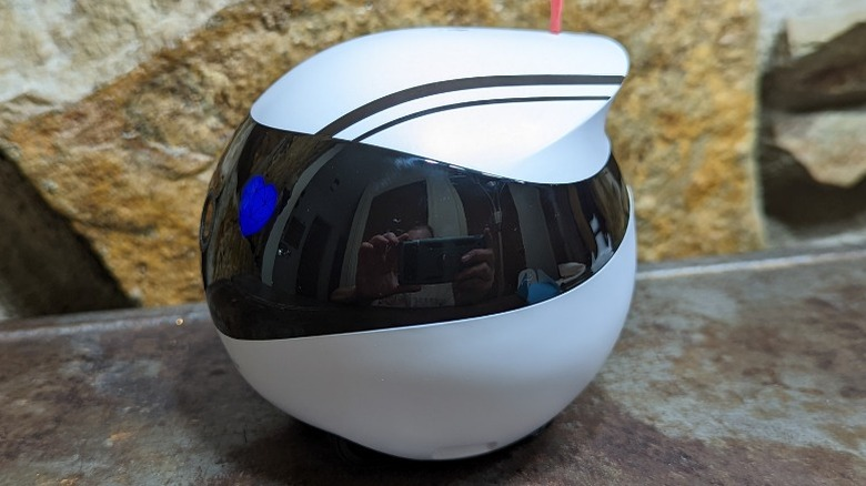 Enabot EBO Air Review: Clever Robot Cat Companion