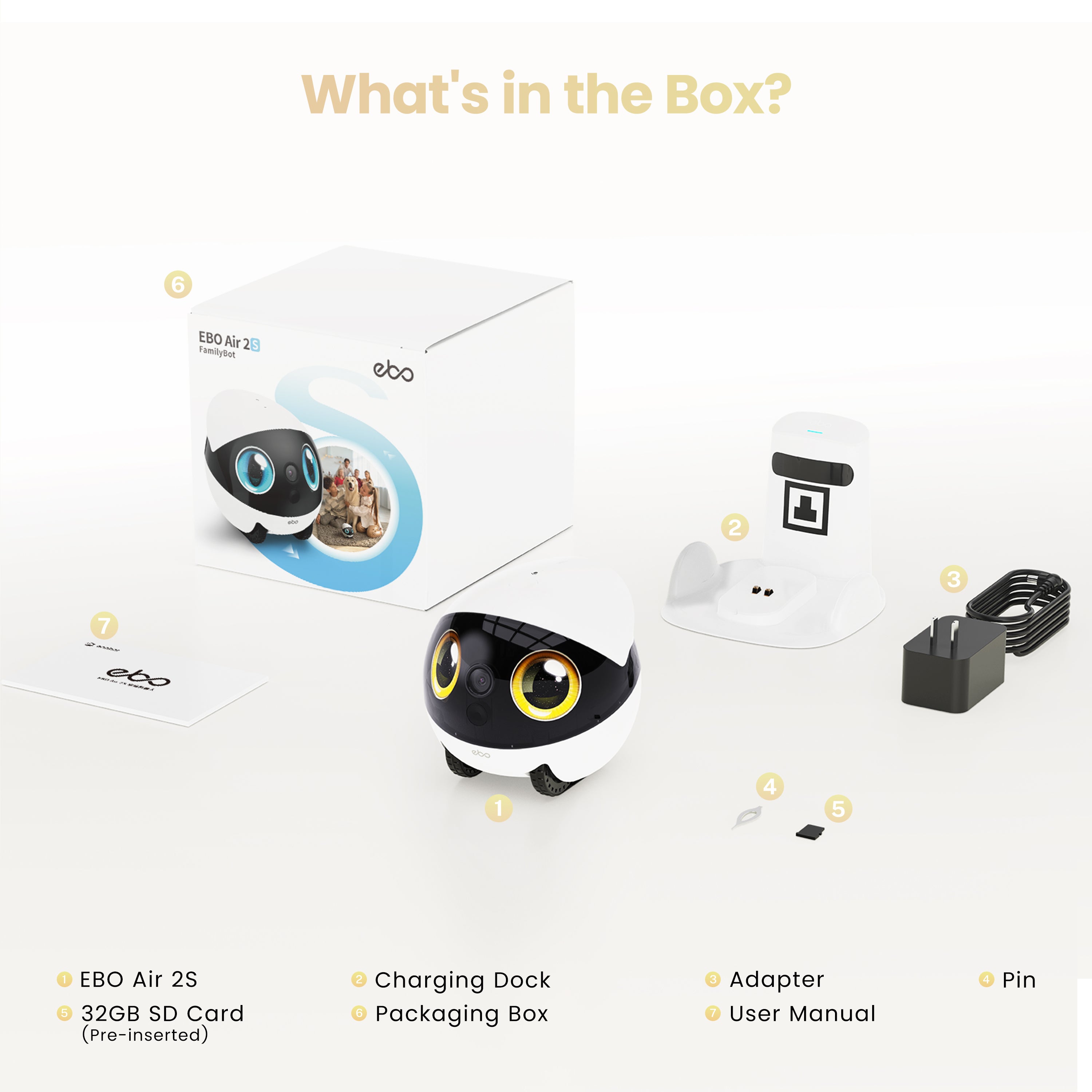 EBO Air 2S FamilyBot Package