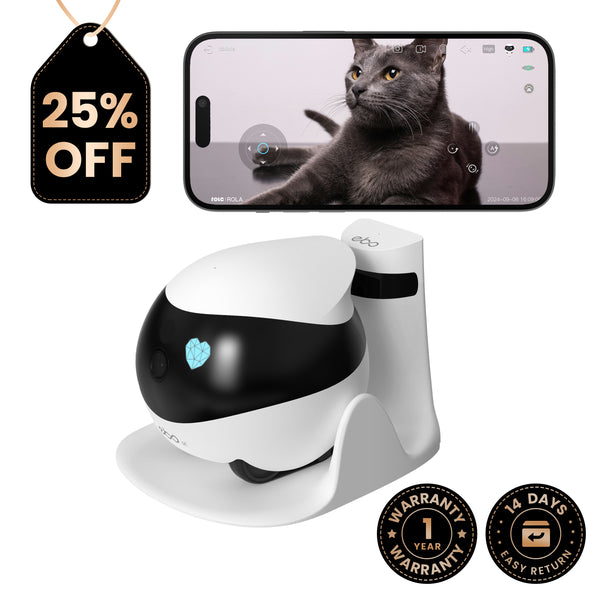 EBO SE kabelloser Kamera-Roboter