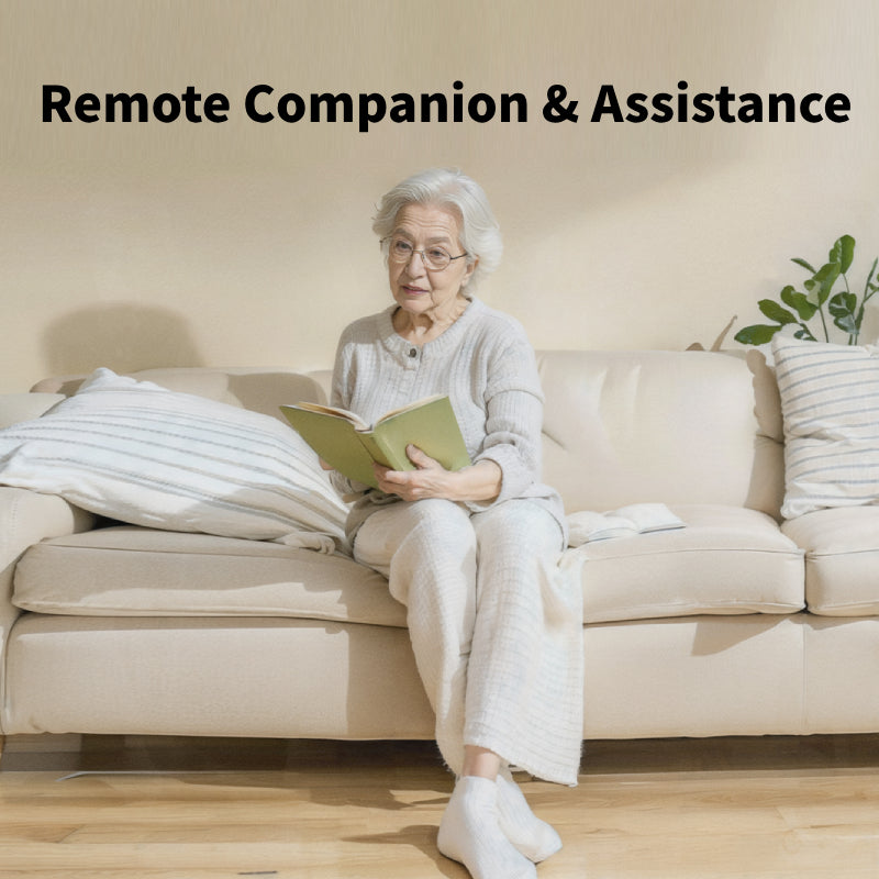 ROLA Mini Roboter – 2K Kamera & Überwachung