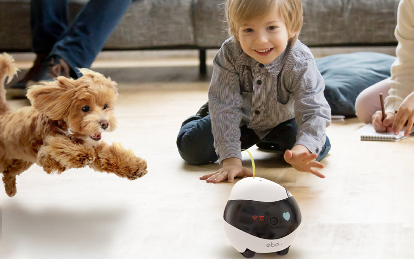 EBO SE vs. EBO Air: Which Movable Robot Camera is Right for You?