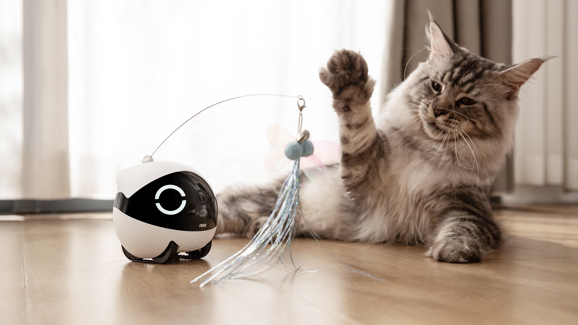 ROLA Mini companion robot Expandable Fun Accessories