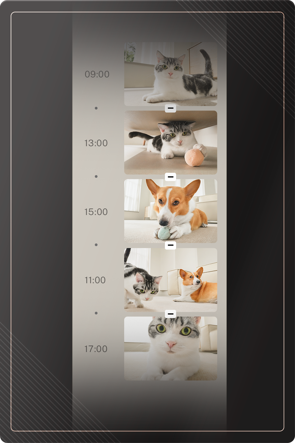 ROLA Mini pet monitor cloud+ subscription 3