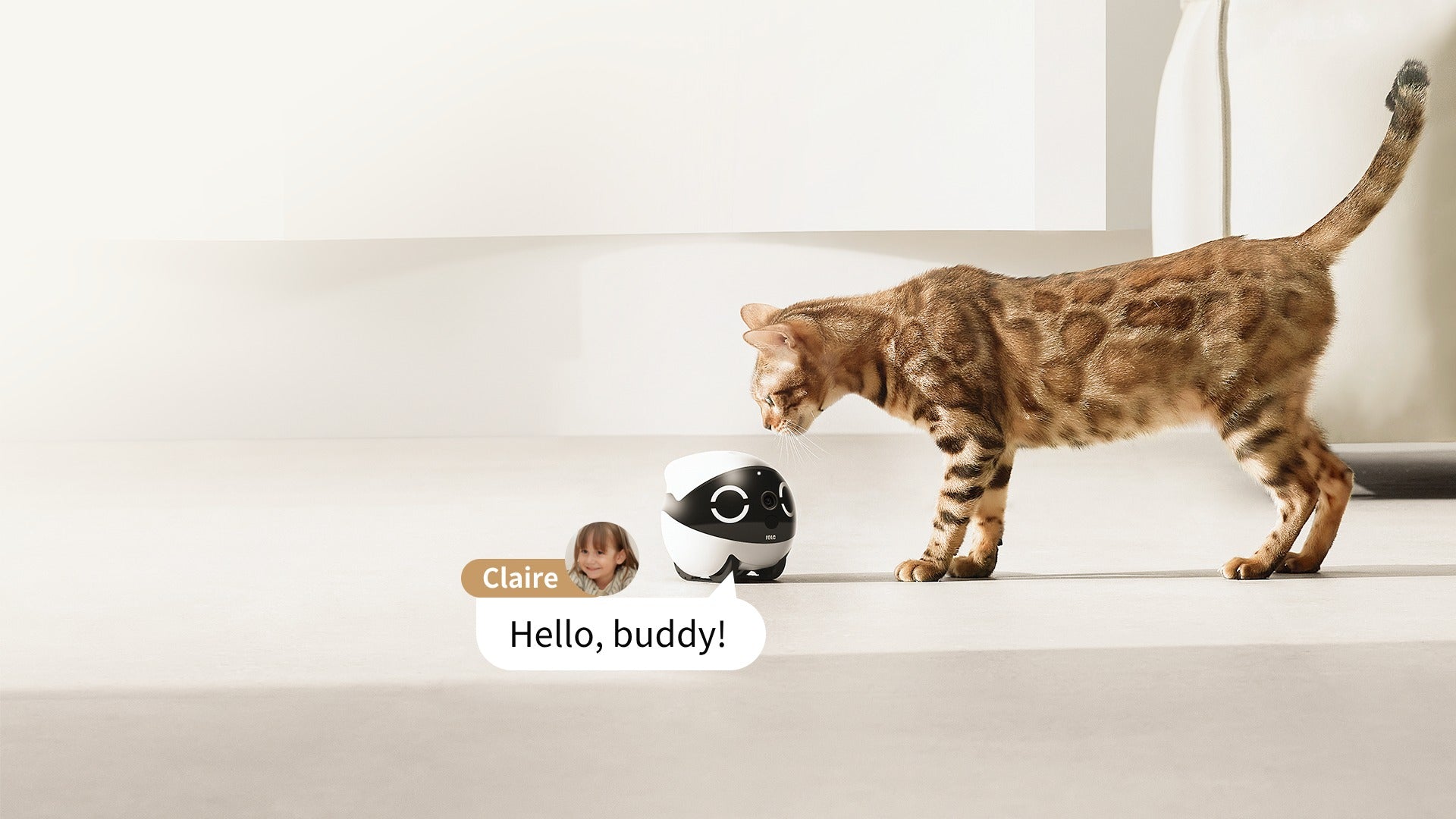 ROLA Mini pet monitor remote pet entertainment via app control