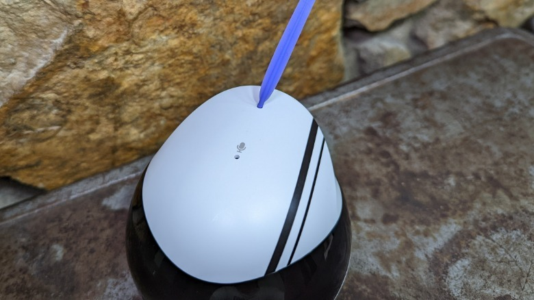 Enabot EBO Air Review: Clever Robot Cat Companion