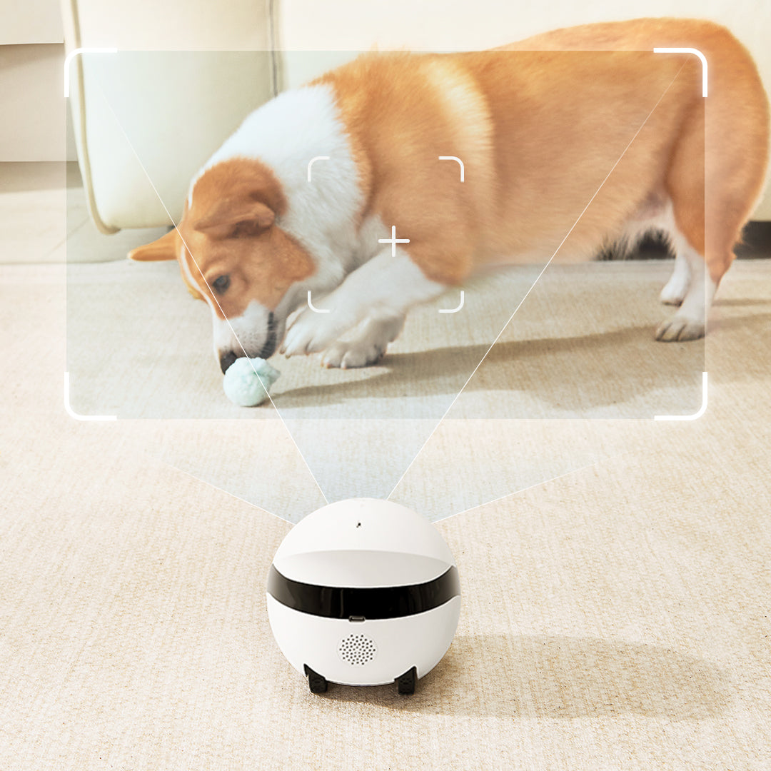 ROLA Mini pet monitor motion detection recording
