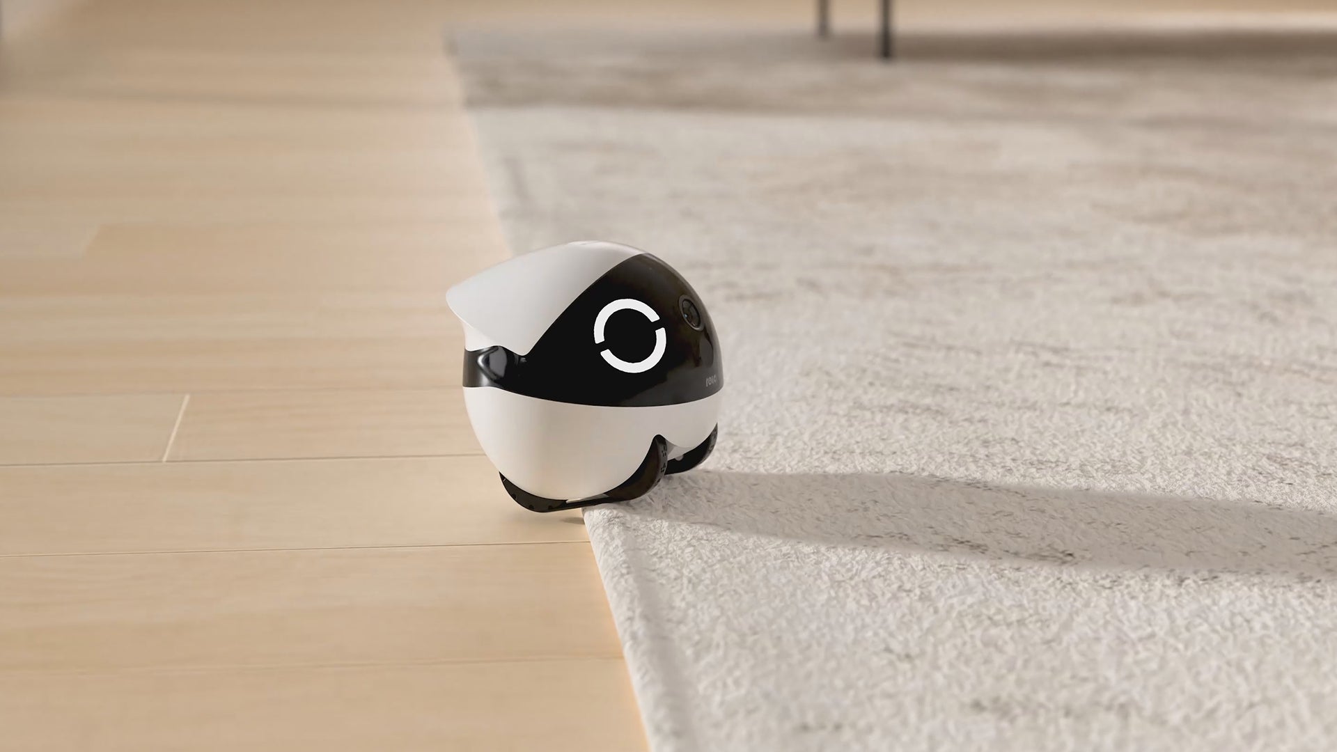 ROLA Mini pet monitor obstacle crossing and climbing