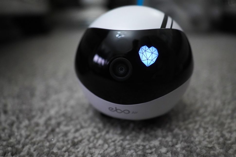 Enabot EBO Air Review: Clever Robot Cat Companion
