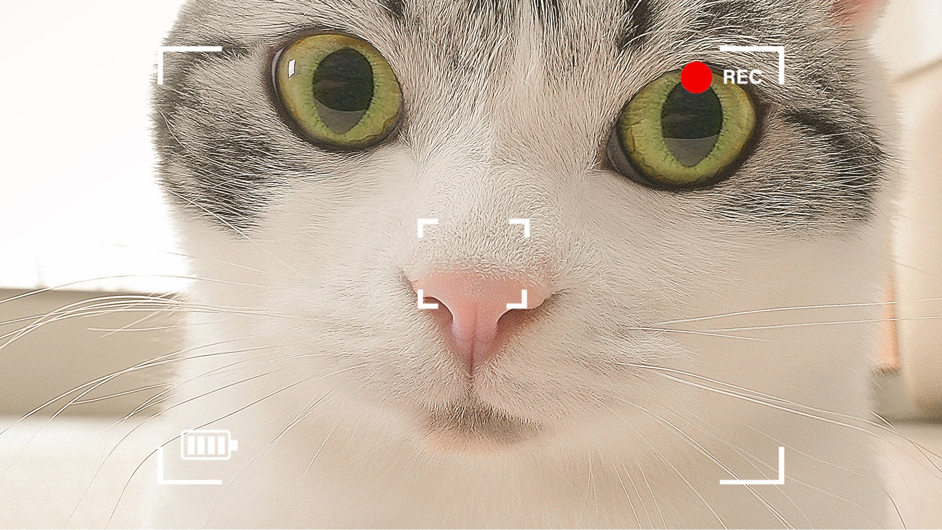 ROLA Mini Movable Camera with 2K resolution