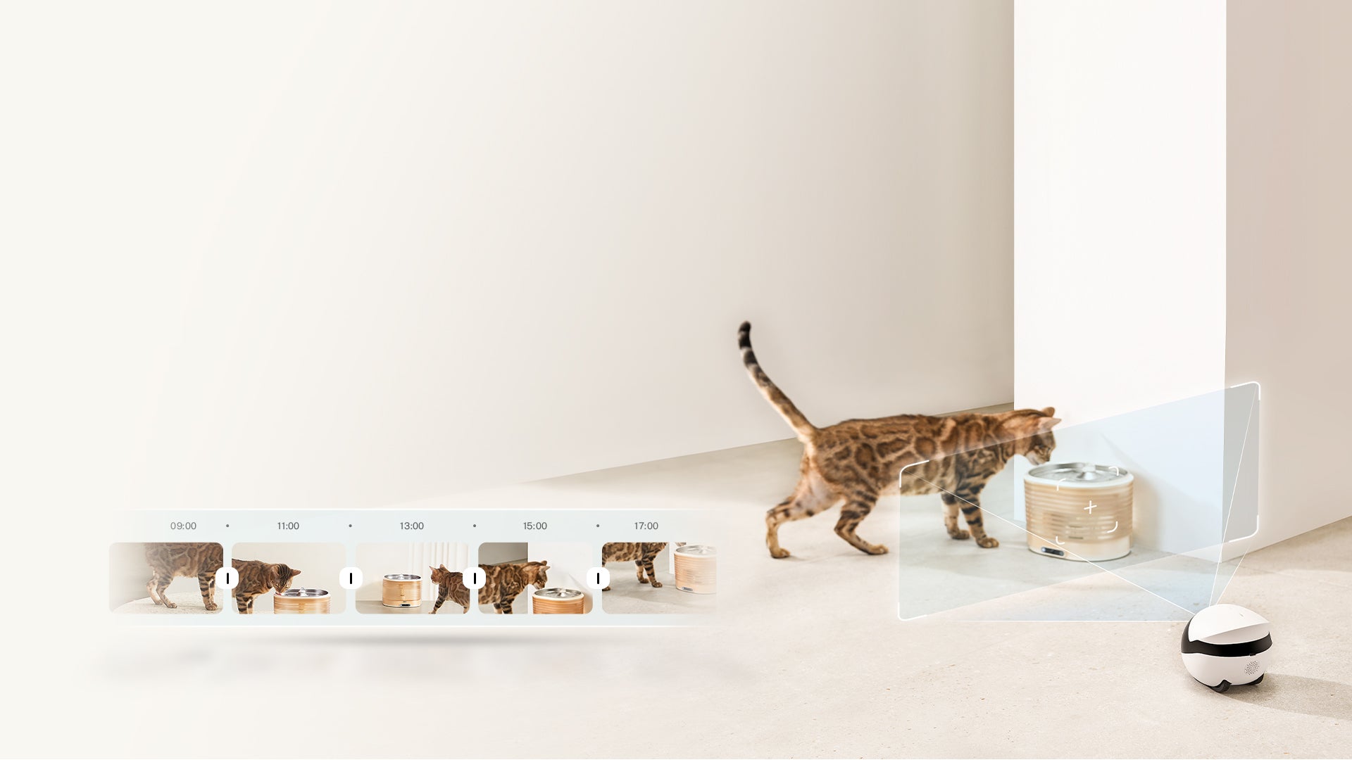 ROLA Mini pet monitor expandable fun accessories