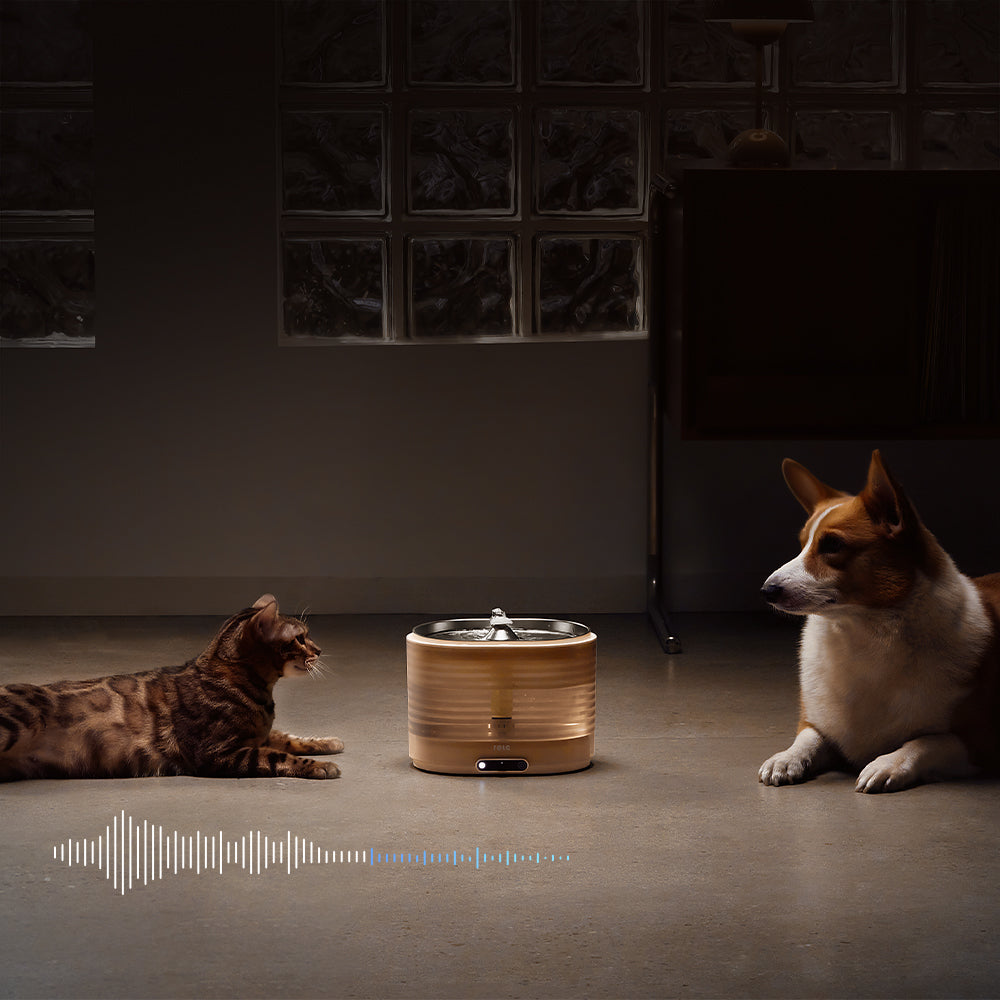 ROLA Mini pet monitor entertain your pets